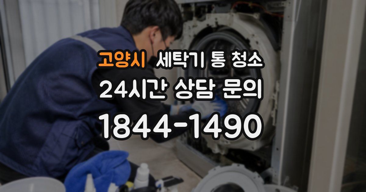 고양시 세탁기 통 청소