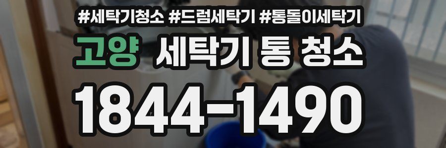 고양 세탁기 통 청소