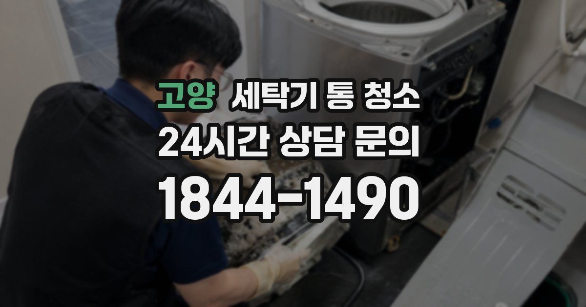 고양 세탁기 통 청소