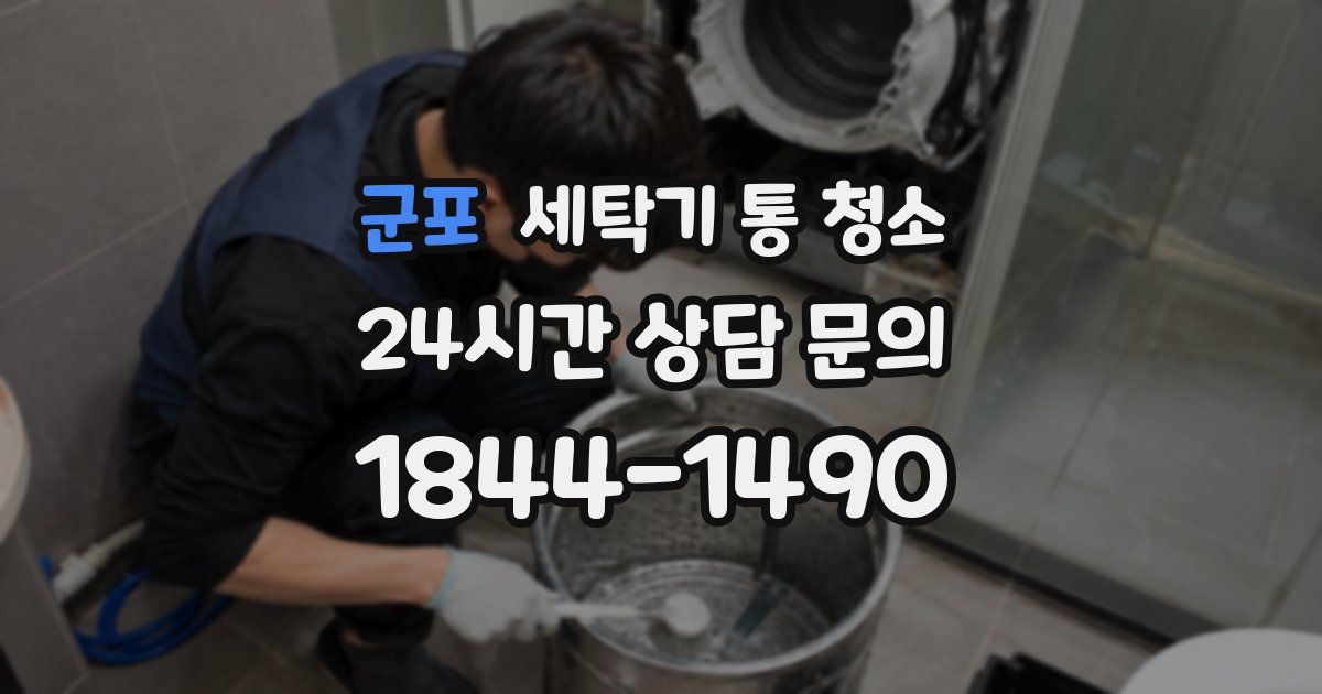 군포 세탁기 통 청소