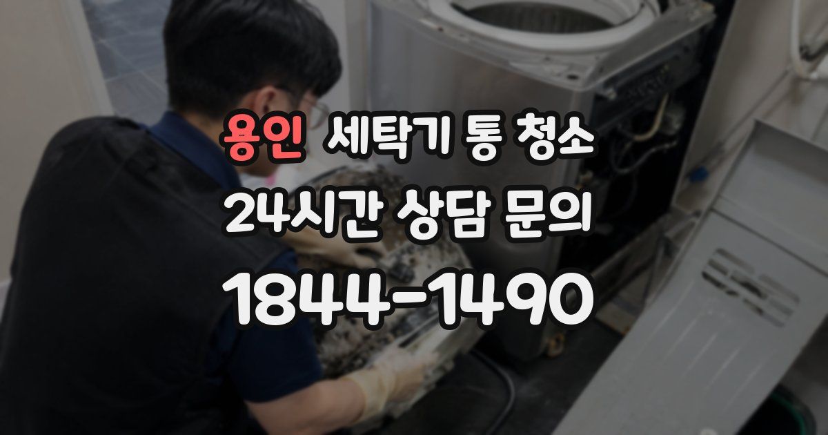 용인 세탁기 통 청소