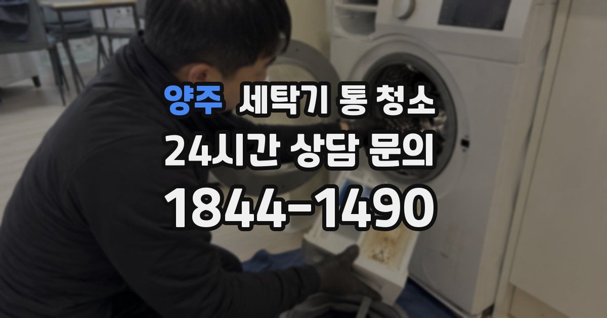 양주 세탁기 통 청소