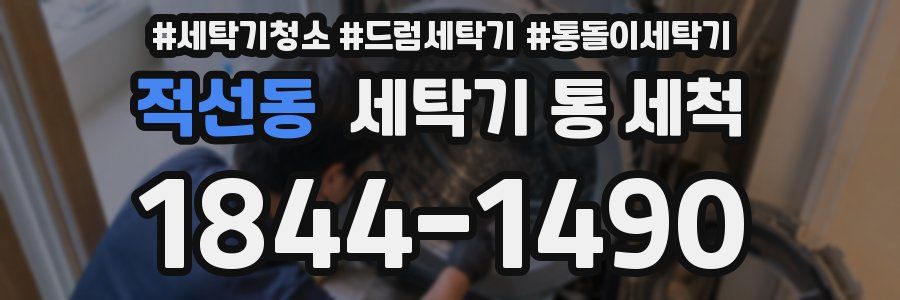 적선동 세탁기 통 세척