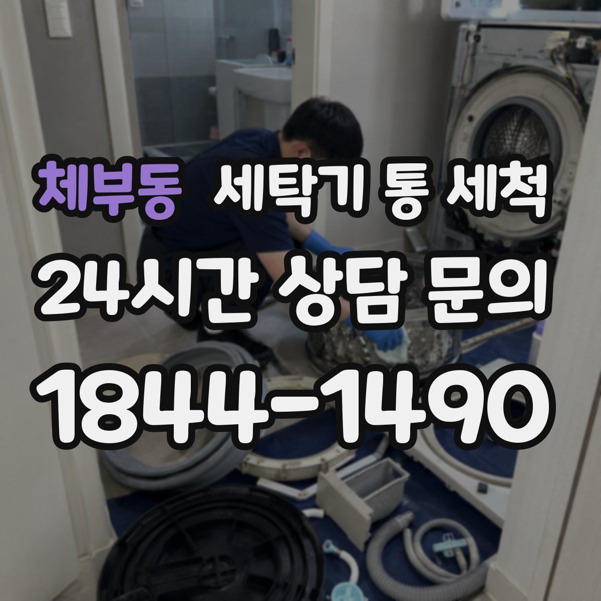 체부동 세탁기 통 세척