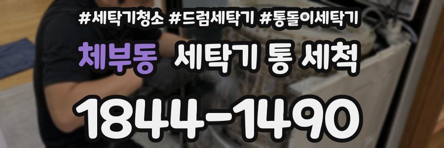 체부동 세탁기 통 세척