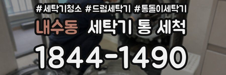 내수동 세탁기 통 세척