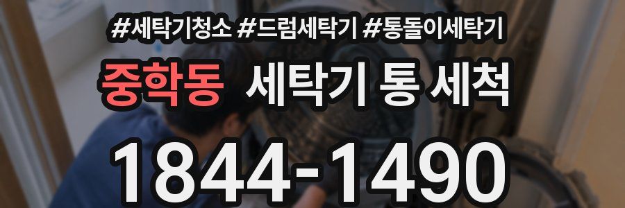 중학동 세탁기 통 세척