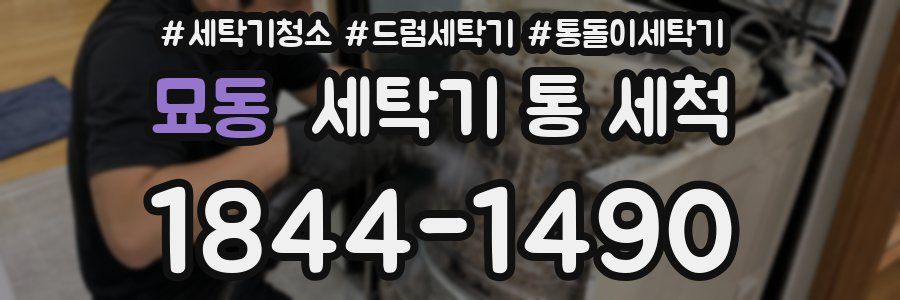 묘동 세탁기 통 세척