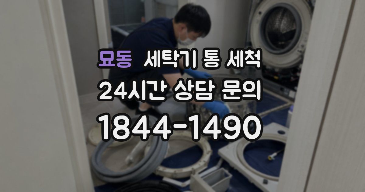 묘동 세탁기 통 세척