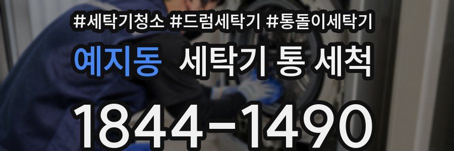 예지동 세탁기 통 세척