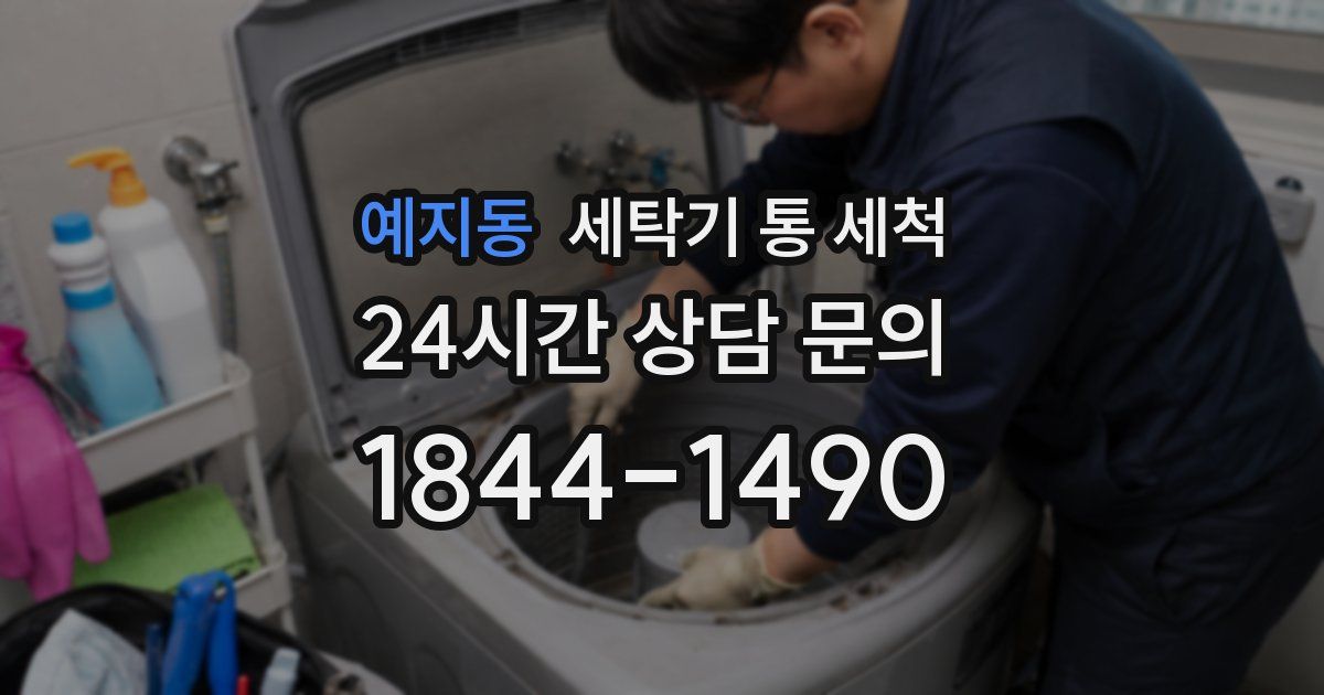 예지동 세탁기 통 세척