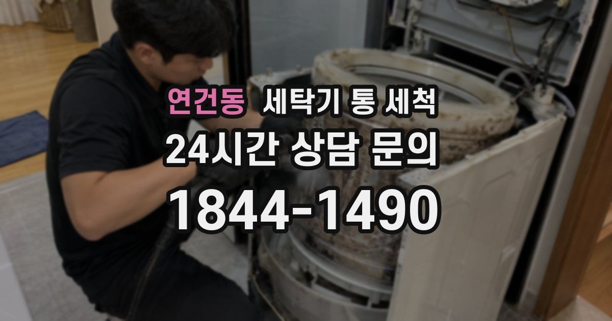 연건동 세탁기 통 세척