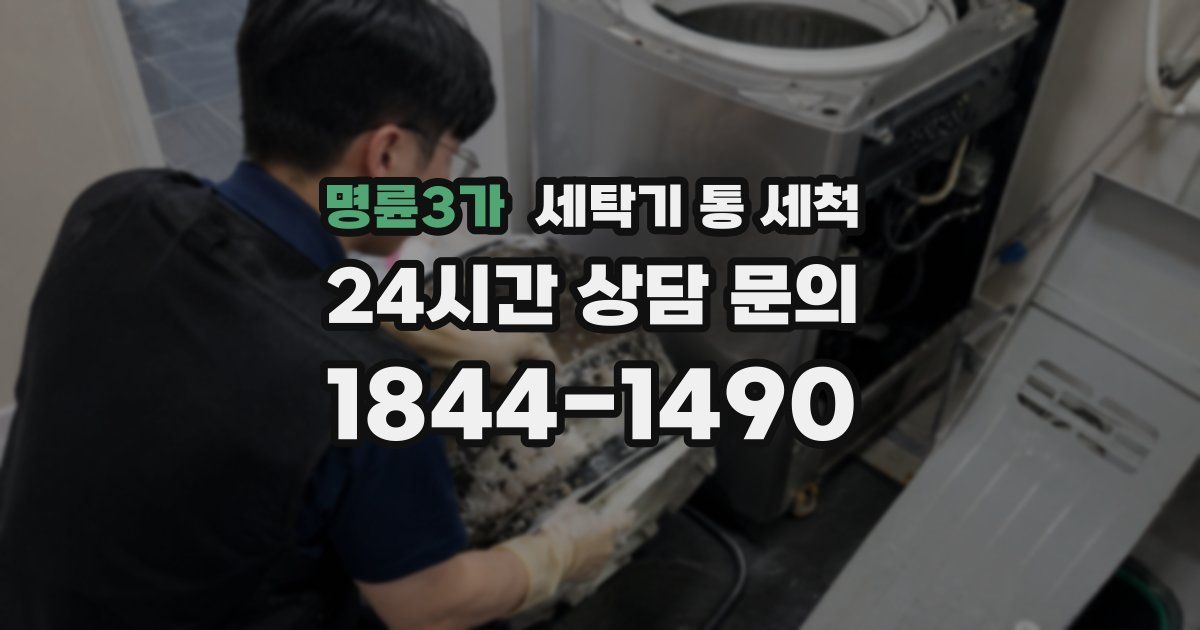 명륜3가 세탁기 통 세척
