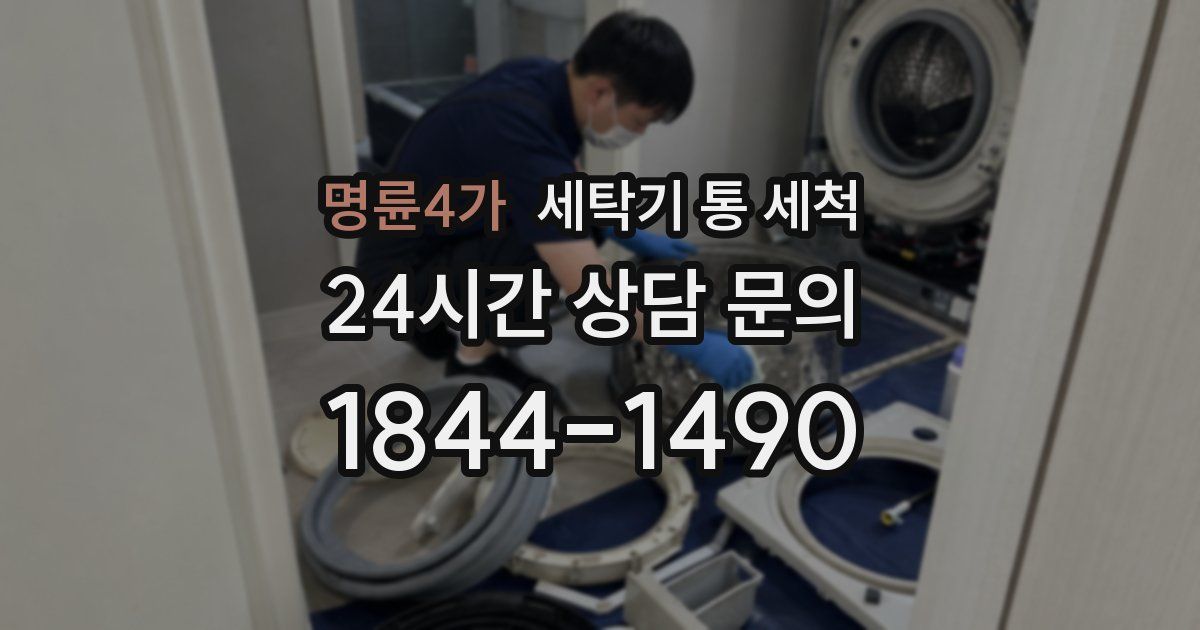 명륜4가 세탁기 통 세척