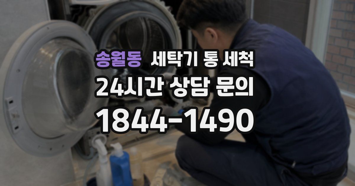 송월동 세탁기 통 세척
