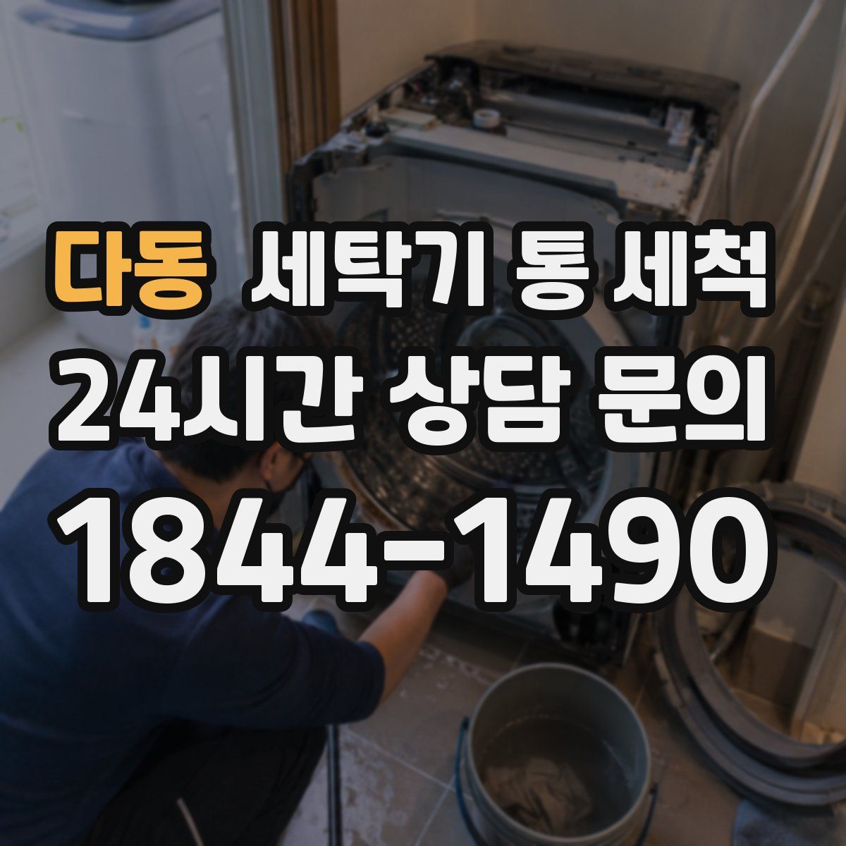 다동 세탁기 통 세척