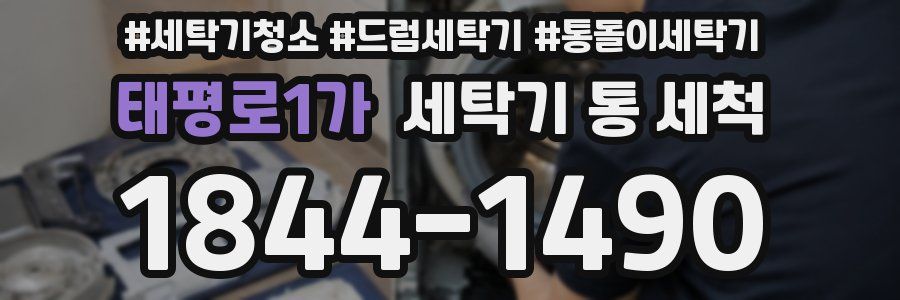 태평로1가 세탁기 통 세척