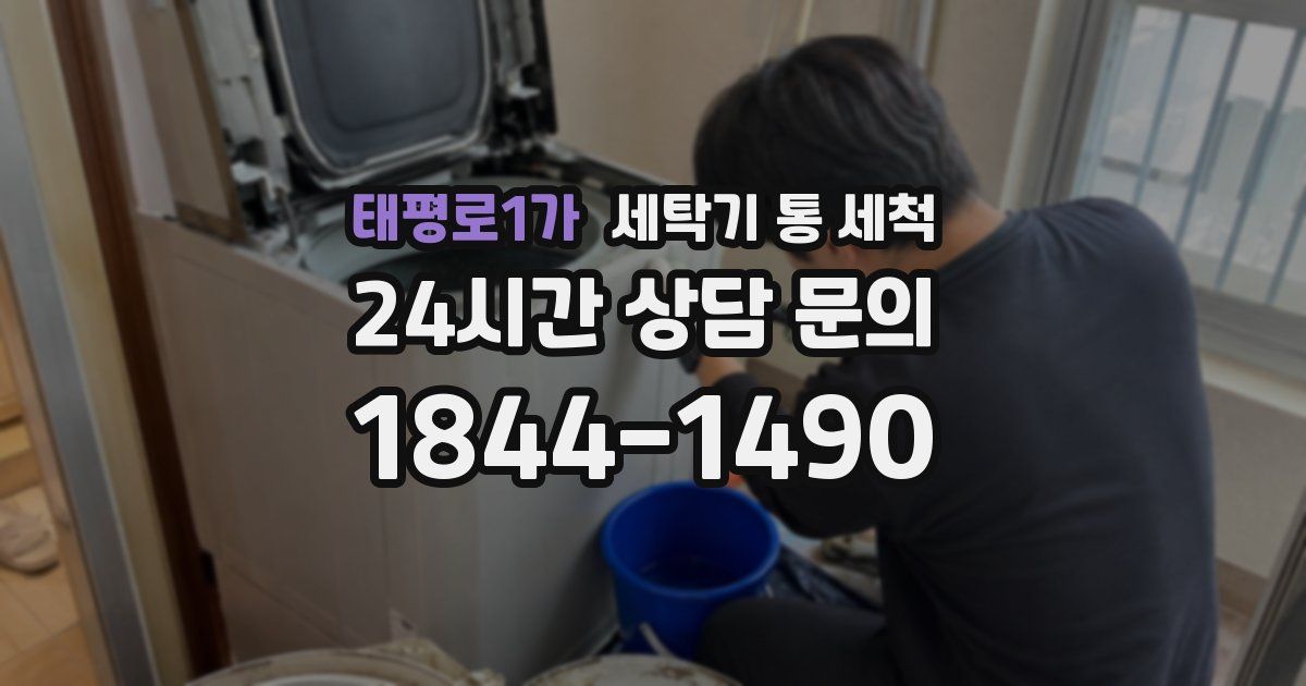 태평로1가 세탁기 통 세척