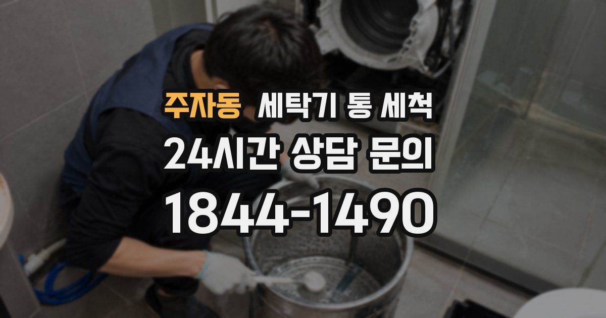 주자동 세탁기 통 세척