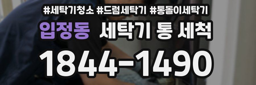 입정동 세탁기 통 세척