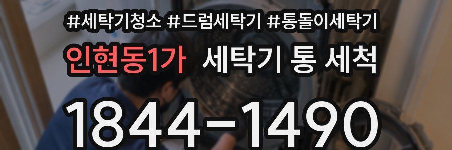 인현동1가 세탁기 통 세척