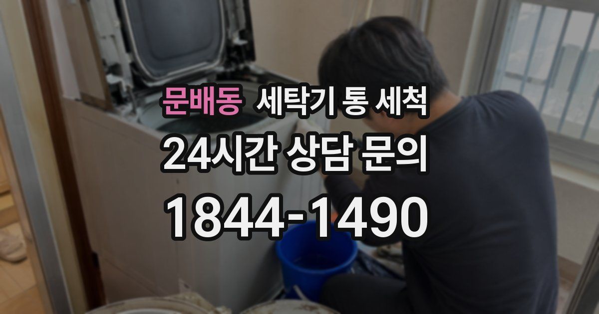 문배동 세탁기 통 세척