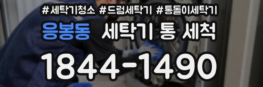 응봉동 세탁기 통 세척