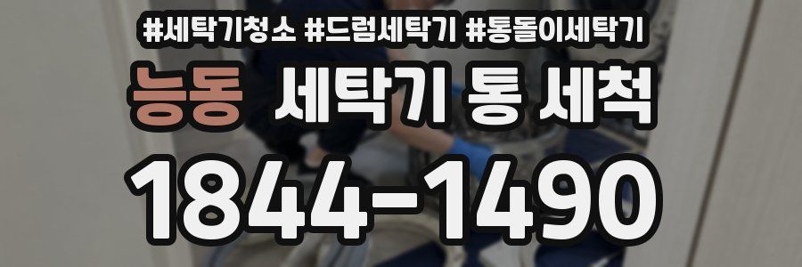 능동 세탁기 통 세척