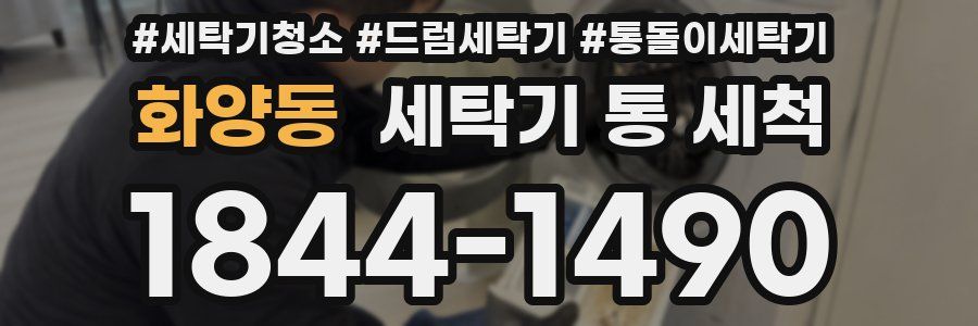 화양동 세탁기 통 세척