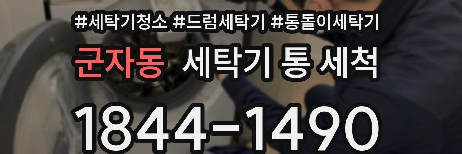 군자동 세탁기 통 세척