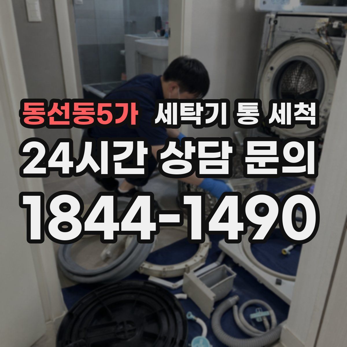 동선동5가 세탁기 통 세척