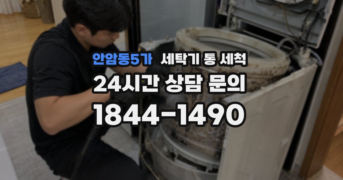안암동5가 세탁기 통 세척