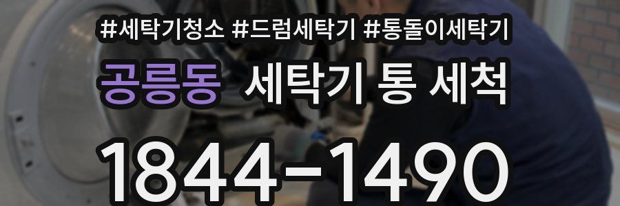 공릉동 세탁기 통 세척