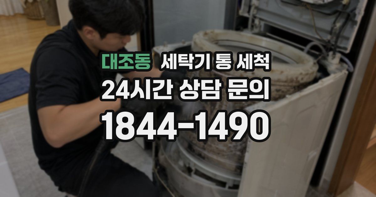 대조동 세탁기 통 세척