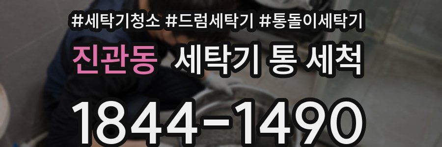 진관동 세탁기 통 세척
