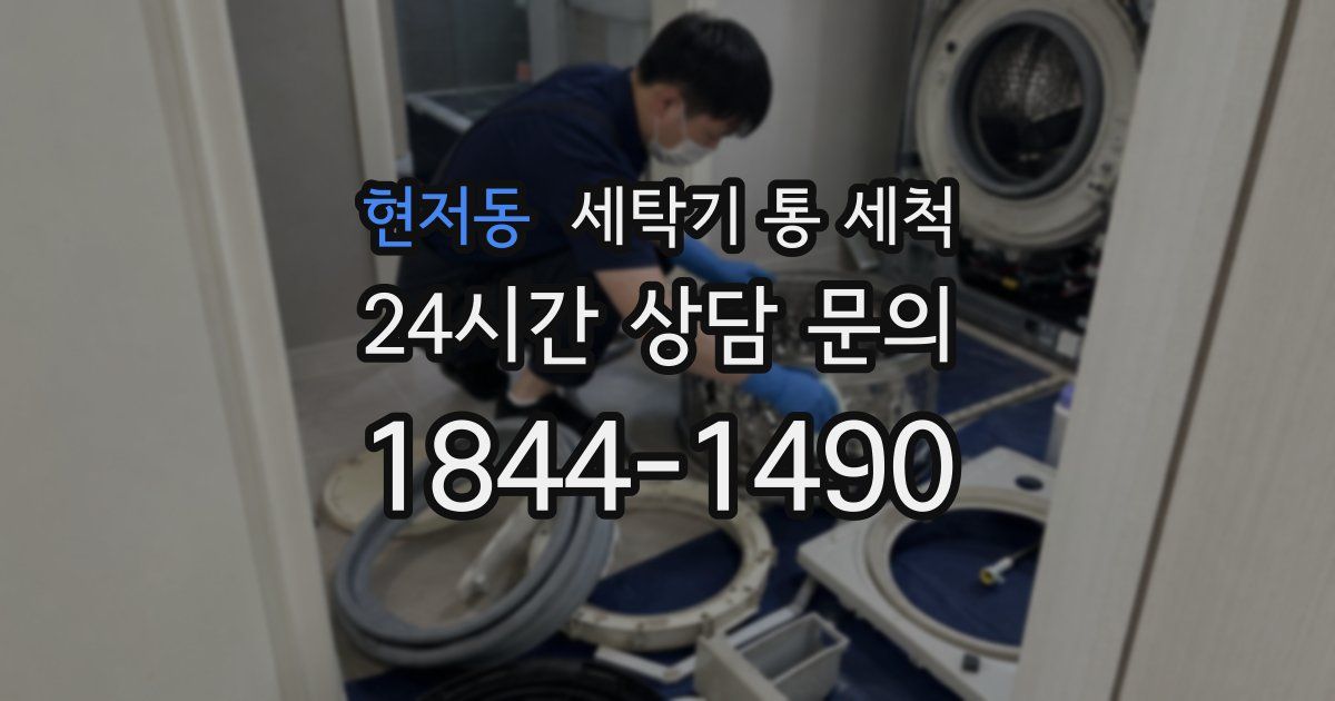 현저동 세탁기 통 세척