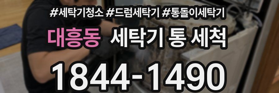 대흥동 세탁기 통 세척