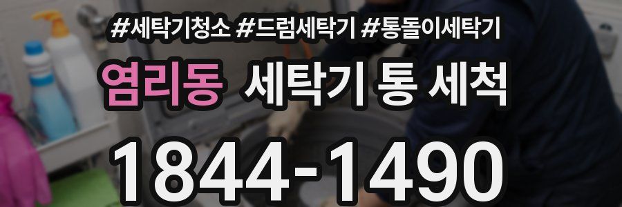염리동 세탁기 통 세척