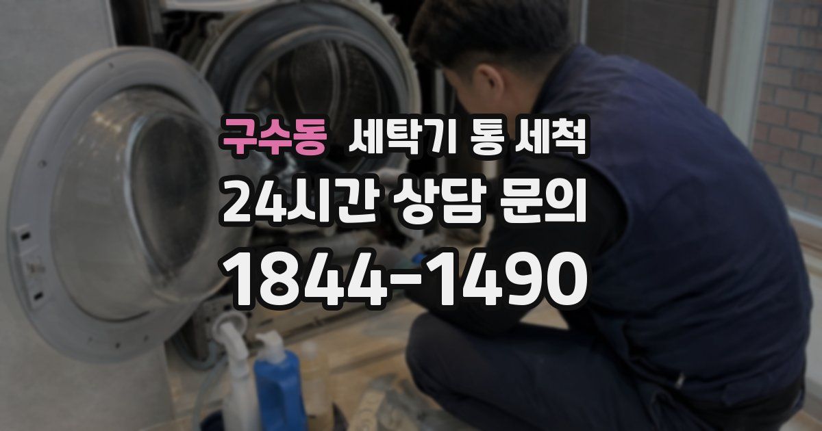 구수동 세탁기 통 세척