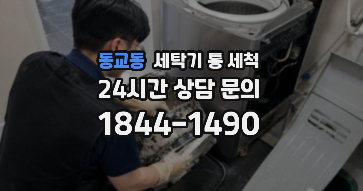 동교동 세탁기 통 세척