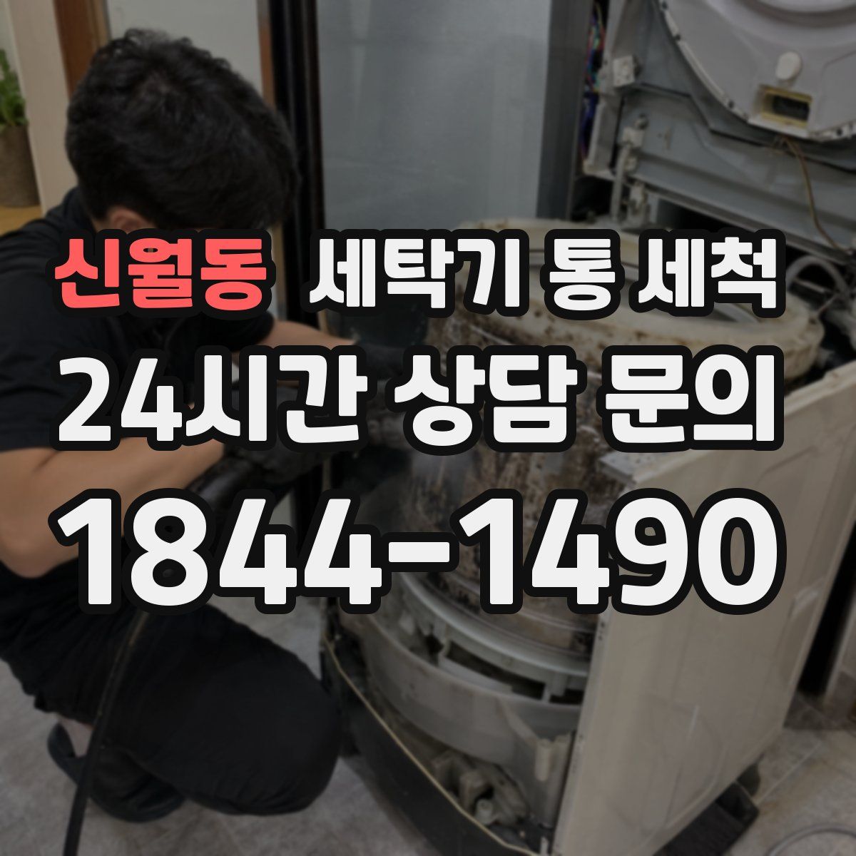 신월동 세탁기 통 세척