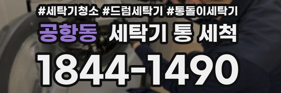 공항동 세탁기 통 세척