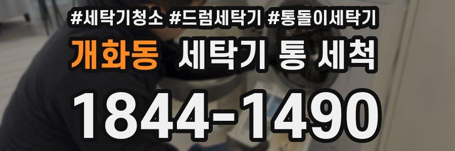 개화동 세탁기 통 세척