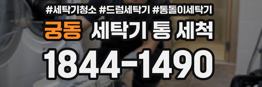 궁동 세탁기 통 세척