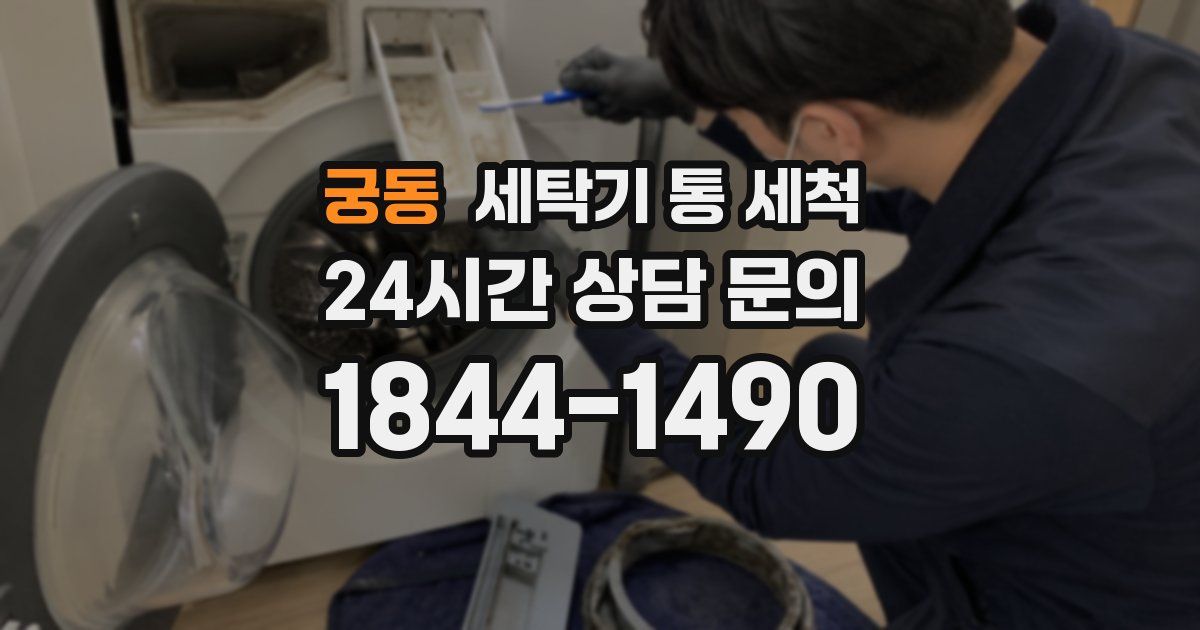 궁동 세탁기 통 세척