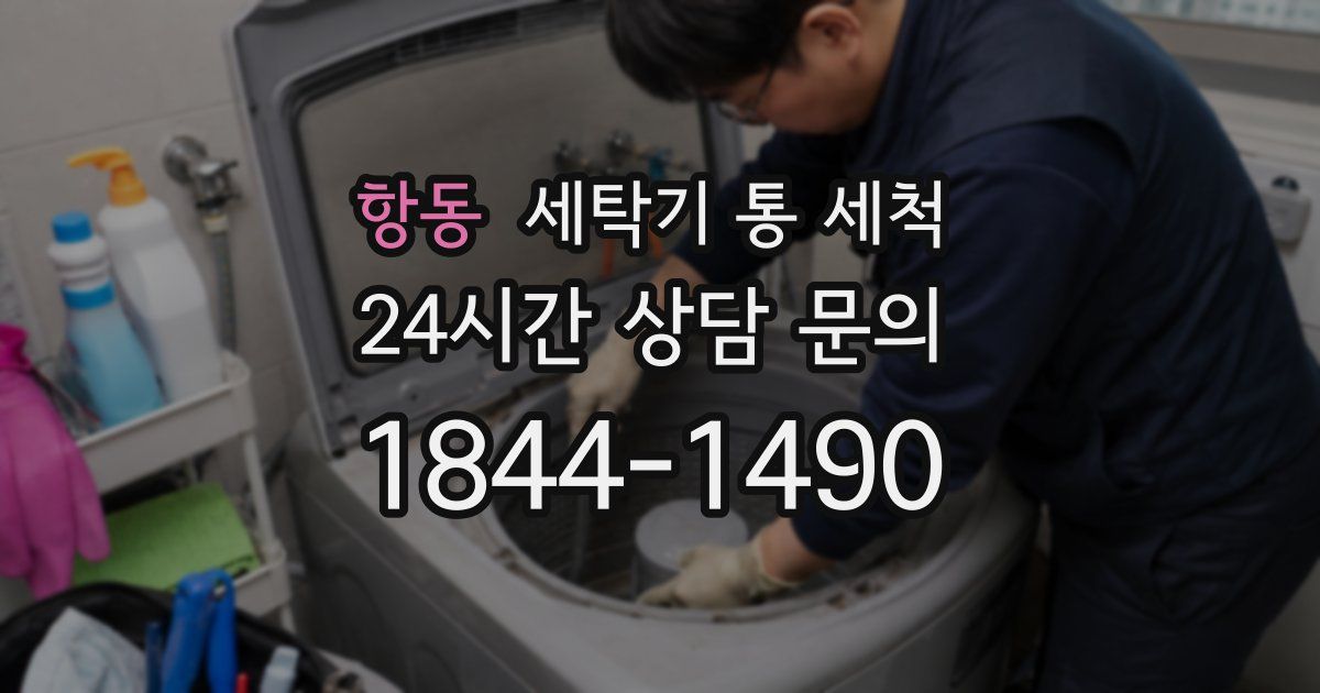 항동 세탁기 통 세척