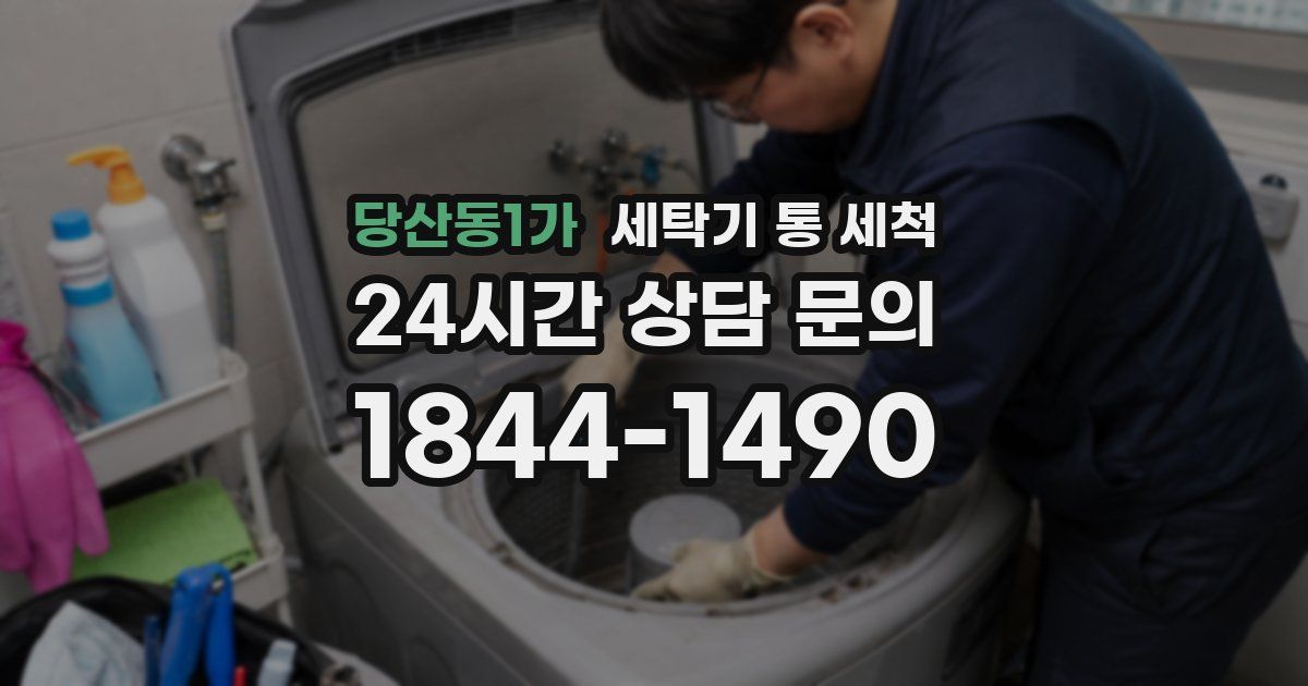 당산동1가 세탁기 통 세척