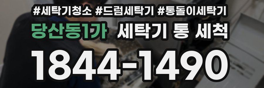 당산동1가 세탁기 통 세척