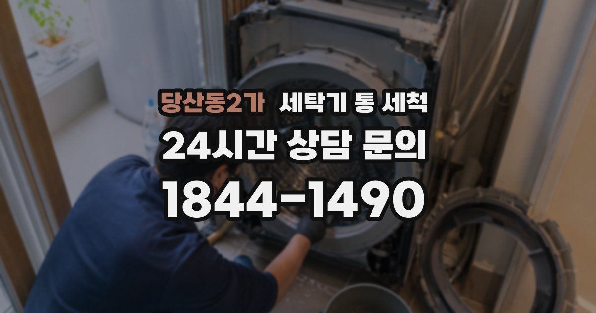 당산동2가 세탁기 통 세척