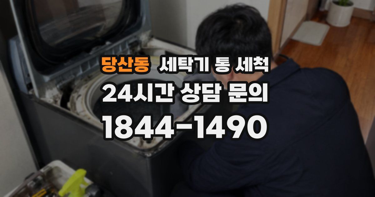 당산동 세탁기 통 세척